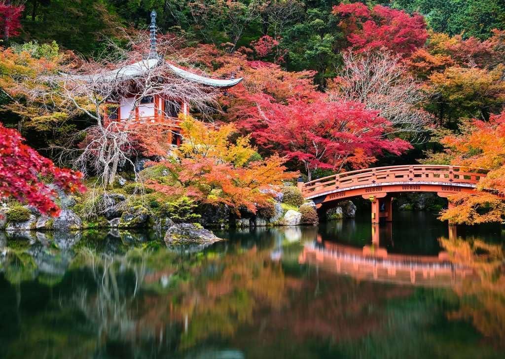 Ravensburger Beautiful Gardens Kyoto, Japan Jigsaw Puzzle (1000 Pieces)