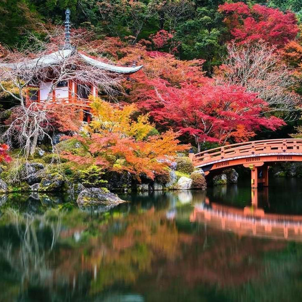 Ravensburger Beautiful Gardens Kyoto, Japan Jigsaw Puzzle (1000 Pieces)