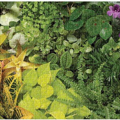 Galison Plant Life Panorama Jigsaw Puzzle (1000 Pieces)