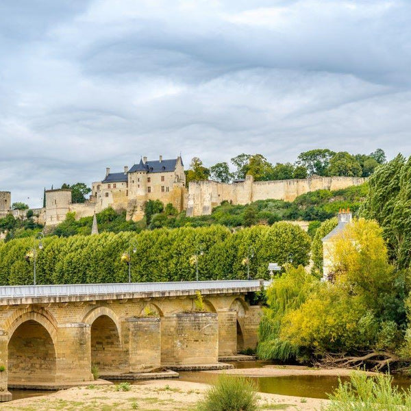 Bluebird Forteresse Royale de Chinon, France Jigsaw Puzzle (1000 Pieces)