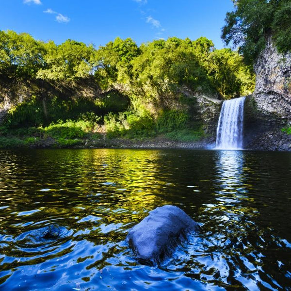 Bluebird Bassin de la Paix, La Réunion, France Jigsaw Puzzle (1000 Pieces)