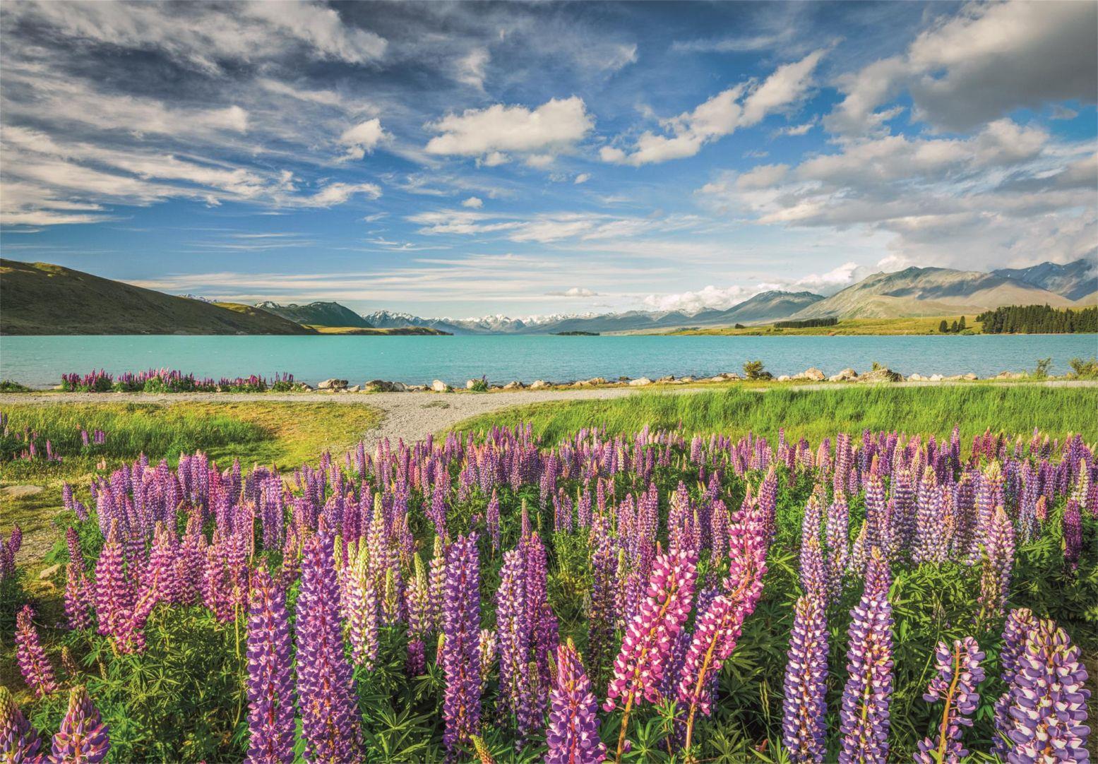 Clementoni Lupins At Lake Tekapo Jigsaw Puzzle (1500 Pieces)