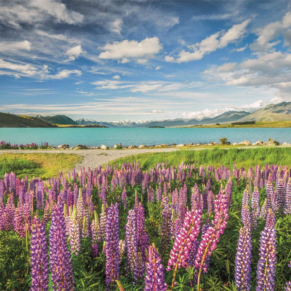 Clementoni Lupins At Lake Tekapo Jigsaw Puzzle (1500 Pieces)