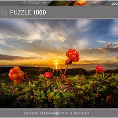 Heye Humboldt Cloudberries Jigsaw Puzzle (1000 Pieces)