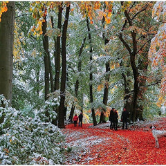 Gibsons Snow in Autumn Jigsaw Puzzle (636 Pieces)