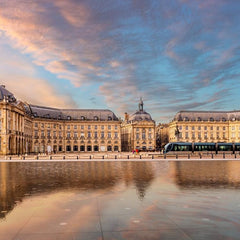 Bluebird Place de la Bourse, Bordeaux, France Jigsaw Puzzle (1000 Pieces)