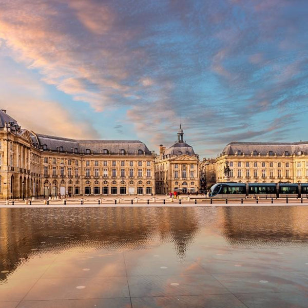 Bluebird Place de la Bourse, Bordeaux, France Jigsaw Puzzle (1000 Pieces)