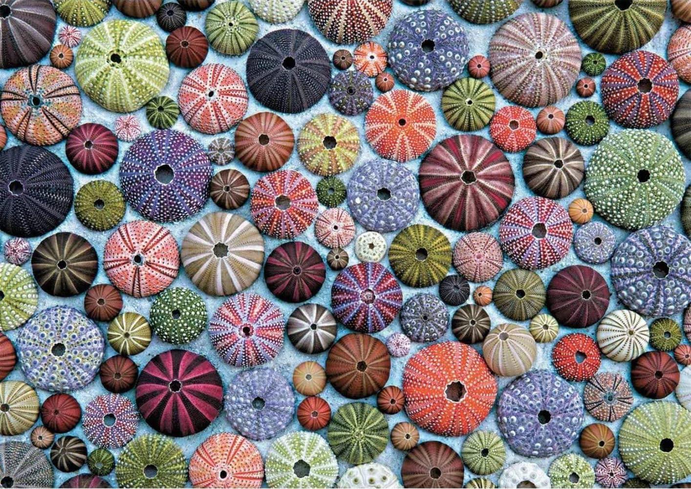 Piatnik Sea Urchins Jigsaw Puzzle (1000 Pieces)