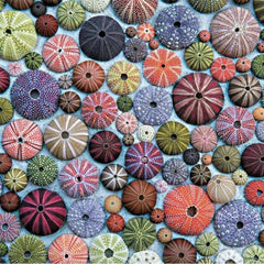 Piatnik Sea Urchins Jigsaw Puzzle (1000 Pieces)