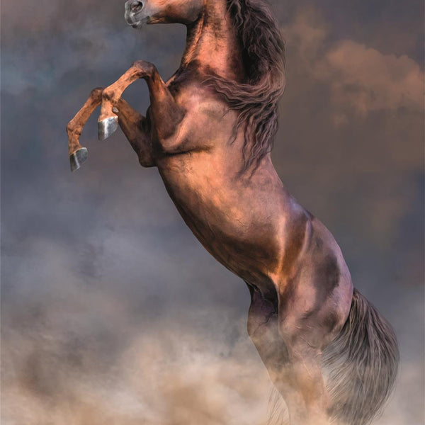 Clementoni Wild Red Stallion Jigsaw Puzzle (500 Pieces)