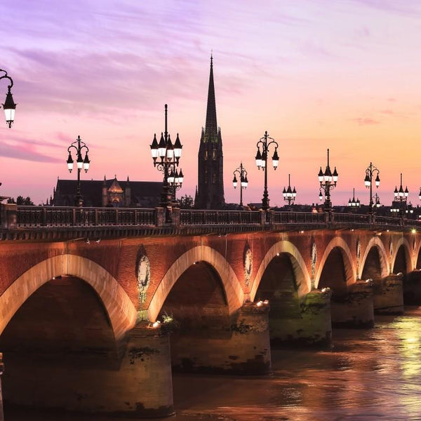 Bluebird Pont de Pierre, Bordeaux Jigsaw Puzzle (1000 Pieces)