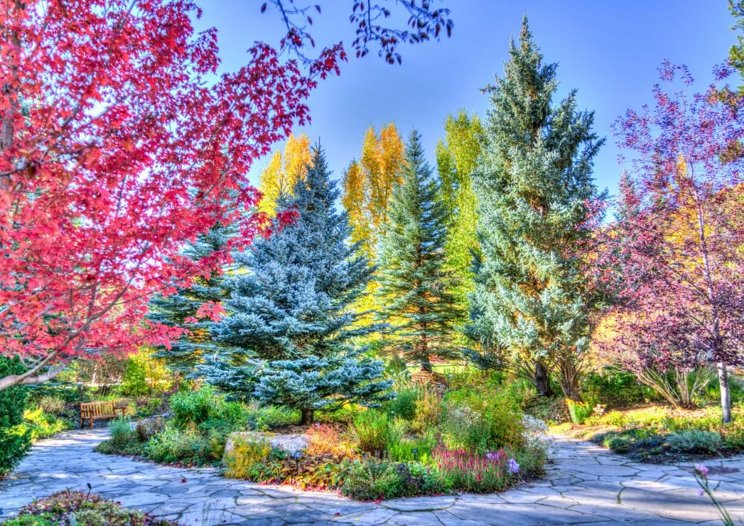 Grafika Colourful Forest, Colorado, USA Jigsaw Puzzle (1500 Pieces)