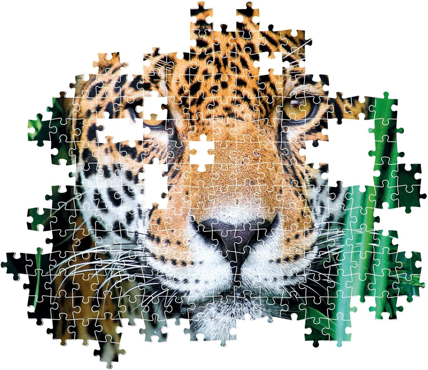 Clementoni Jaguar In The Jungle Jigsaw Puzzle (500 Pieces) – PDK