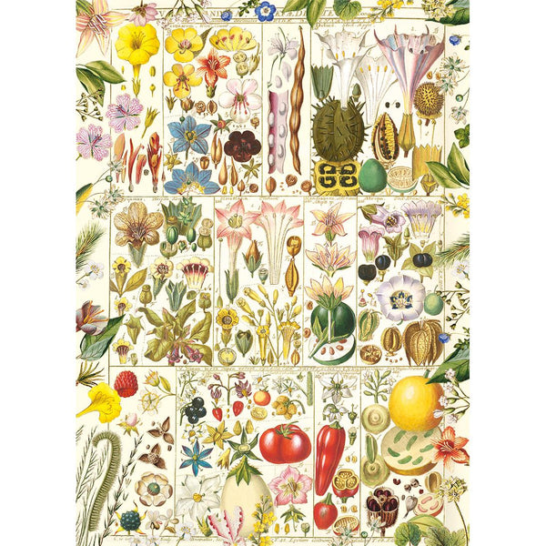 Gibsons RHS Botanical Bliss Jigsaw Puzzle (1000 Pieces)