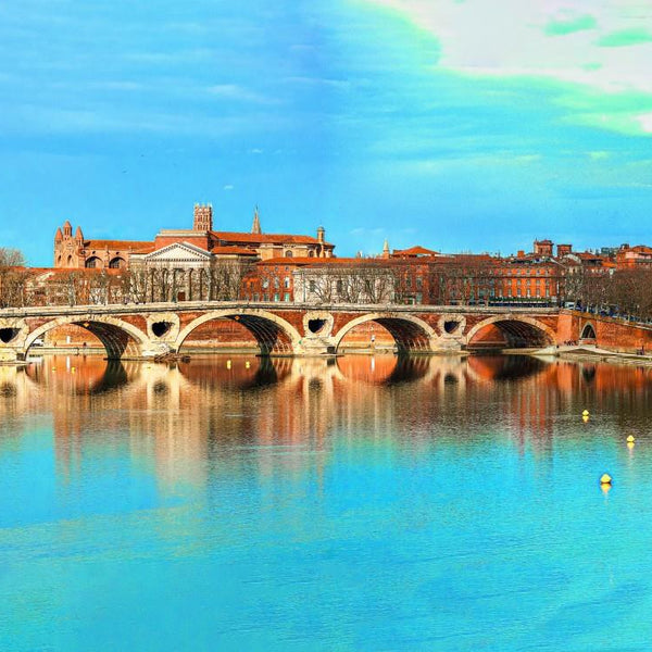 Bluebird Toulouse - Pont Neuf Jigsaw Puzzle (1000 Pieces)