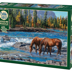 Cobble Hill On The Rocks Jigsaw Puzzle (1000 Pieces)