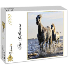 Grafika Horses Jigsaw Puzzle (1500 Pieces)