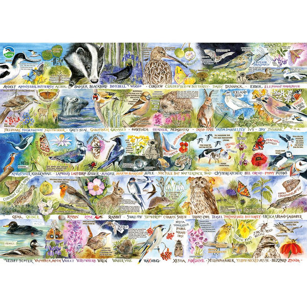 Gibsons RSPB Birdsong & Bluebells Jigsaw Puzzle (1000 Pieces)