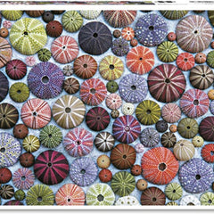 Piatnik Sea Urchins Jigsaw Puzzle (1000 Pieces)