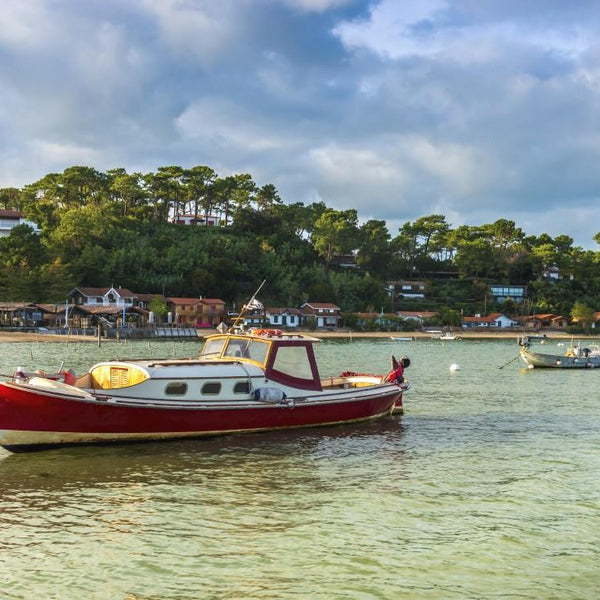 Bluebird Bateaux dans le Bassin d'Arcachon Jigsaw Puzzle (1000 Pieces)