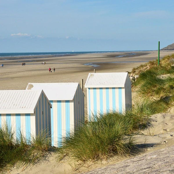 Bluebird Hardelot-Plage, Cote d'Opale, France Jigsaw Puzzle (1000 Pieces)