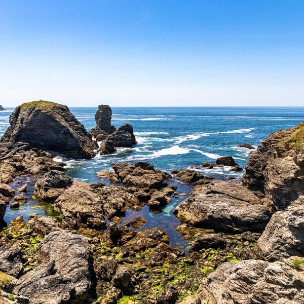 Bluebird Pointe des Poulains, Bretagne, France Jigsaw Puzzle (1000 Pieces)