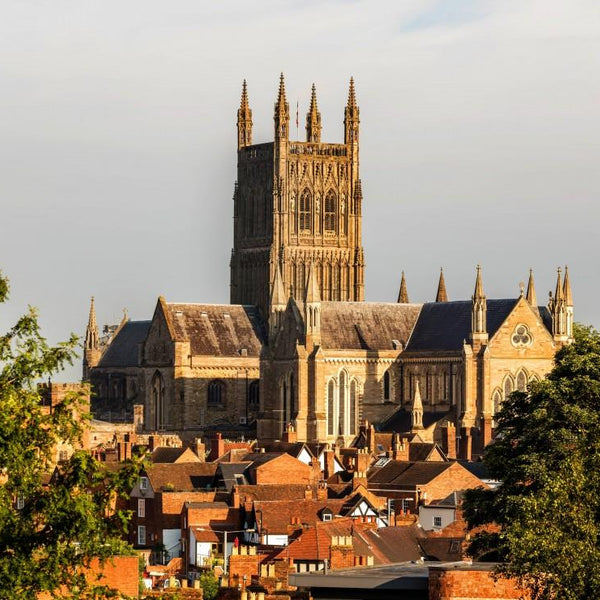 Grafika Worcester Cathedral viewed from Fort Royal Park Jigsaw Puzzle (1500 Pieces)