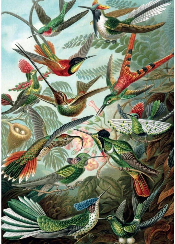 Piatnik Hummingbirds, Haeckel Jigsaw Puzzle (1000 Pieces)