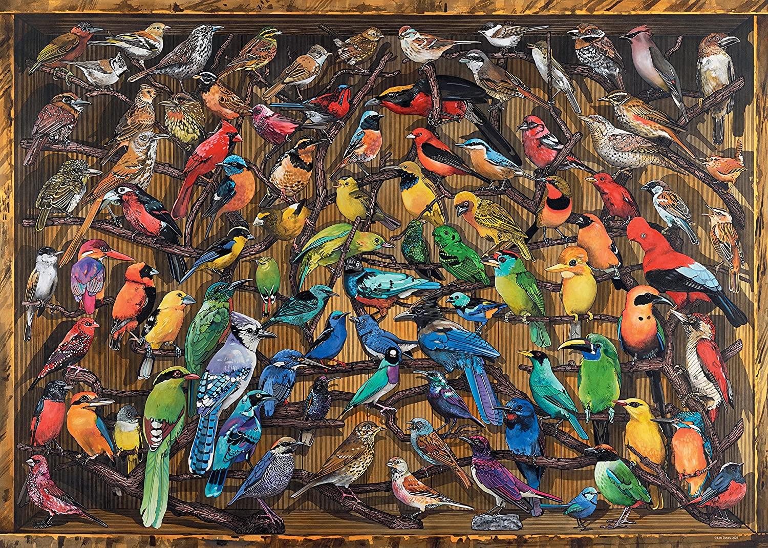 Bird deals jigsaw puzzles